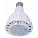 G1-PAR30-LED