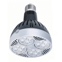 G2-PAR30-LED