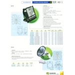 Flood Lighting Series-P13